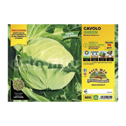 Cavolo verza a foglia liscia Sennen F1 - 6 piante - Orto Mio en oferta