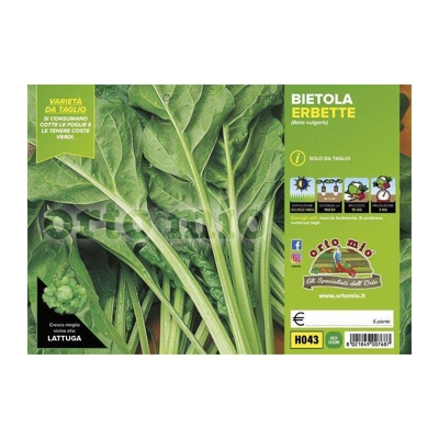 Bietola da Costa e da taglio Erbette - 6 piante - Orto Mio