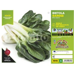 Bietola da cespo Corolla (Sel. Polignano) - 6 piante - Orto Mio precio