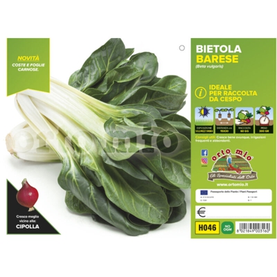 Bietola da cespo Corolla (Sel. Polignano) - 6 piante - Orto Mio