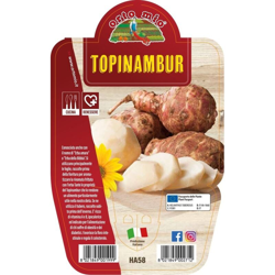 Topinambur - 1 pianta v.14 cm - Orto Mio características