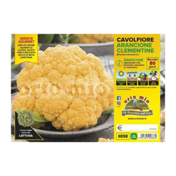 Cavolfiore arancione Clementine F1 - 6 piante - Orto Mio precio
