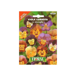 Viola Cornuta Miscuglio In Busta - Da Vaso Per Balconi características