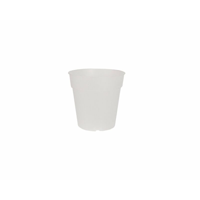Vaso da Orchidea Madagascar - Trasparente - cm 15 x h 14