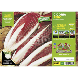 Cicorie e Radicchio rossa di Treviso precoce Zero - 9 piante - Orto Mio en oferta