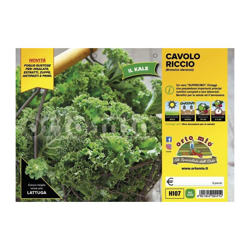 Cavolo riccio Green Kale F1 - 6 piante - Orto Mio precio