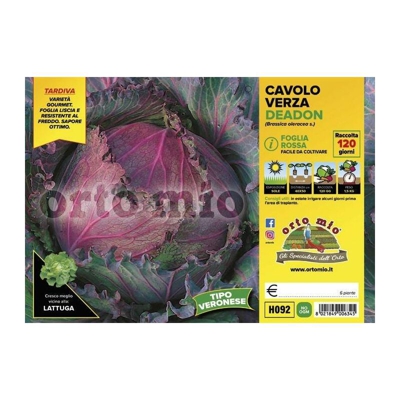 Cavolo verza rossa Deadon F1 - 6 piante - Orto Mio