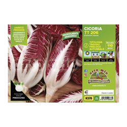Cicorie e Radicchio Rossa di Treviso precoce autunnale TT 206 - 9 piante - Orto Mio en oferta