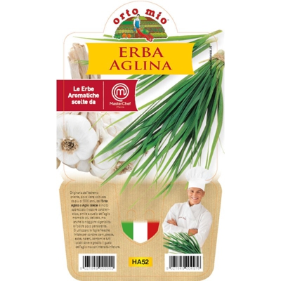 Erba Aglina - 1 pianta v.14 cm - Orto Mio