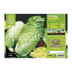 Cicorie e Radicchio pan di zucchero precoce Vespero F1 - 9 piante - Orto Mio características