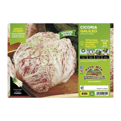 Cicorie e Radicchio variegata di Lusia precoce Galileo F1- 9 piante - Orto Mio en oferta