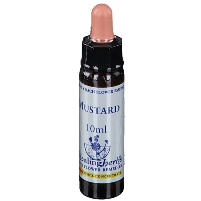 Healing Herbs Mustard