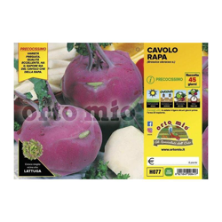 Cavolo rapa violetto Ukza F1 - 6 piante - Orto Mio precio
