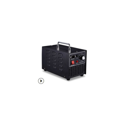220V 10G/H generatore di ozono sterilizzatore disinfezione dell'aria macchina di sterilizzazione purificatore d'aria ventilatore timer forte en oferta