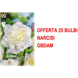 Offerta 25 Bulbi Autunnali Narciso Double Obdam Bulbs Bulbes características
