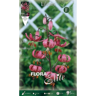 Bulbi Autunnali Lilium Martagon Confezione Da 1 Bulbo Bulbs