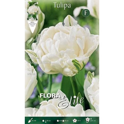Tulipano Tulipano Double Late Mount Tacoma Confezione Da 10 Bulbi Autunnali Bulbs Bulbes