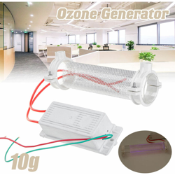 Home Generatore di ozono Ozonizzatore Tubo ionizzatore Purificatore d'aria Tubo al quarzo 220V Tubo di silice Generatore di ozono 10g 15g 20g (15g precio