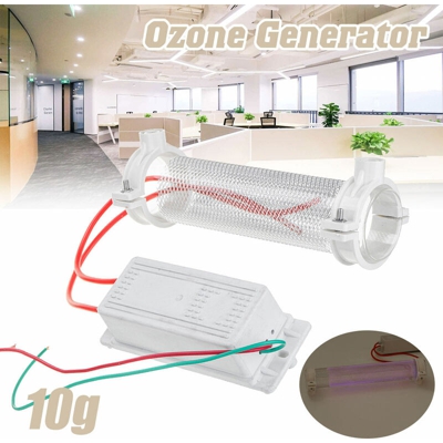 Home Generatore di ozono Ozonizzatore Tubo ionizzatore Purificatore d'aria Tubo al quarzo 220V Tubo di silice Generatore di ozono 10g 15g 20g (15g