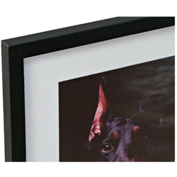 Quadro Cat and Dog (4 pcs) (35 x 2 x 45 cm) - Dkd Home Decor características