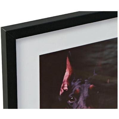 Quadro Cat and Dog (4 pcs) (35 x 2 x 45 cm) - Dkd Home Decor