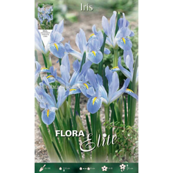 Iris Reticulata Blue Planet Confezione Da 10 Bulbi Autunnali Bulbs precio