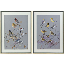 Quadro Tela Uccelli (2 pcs) (79 x 3 x 109 cm) - Dkd Home Decor precio
