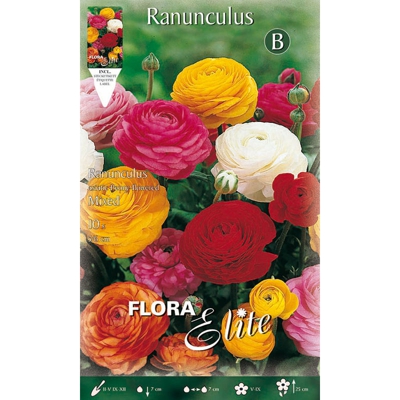 Bulbi Autunnali Ranunculus Ranuncoli Mixed Confezione Da 10 Bulbi