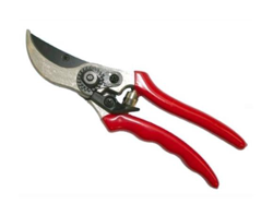 Forbici Da Pota Mod. Samurai Con Lame Rette 21Cm. Conf. 6Pz. Ks4T en oferta