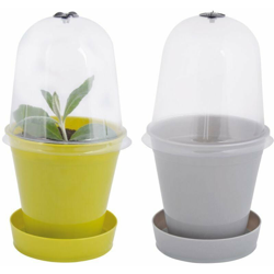 Vaso Con Campana In Vetro en oferta