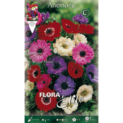 Bulbi Autunnali Anemone Coronaria St. Brigid Confezione 20 Bulbi Bulbs Bulbes en oferta