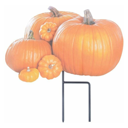 Forme Per Giardino Fantasia Zucche en oferta