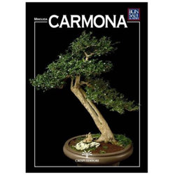 Carmona - Miniguida BONSAI & news precio