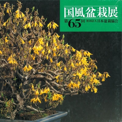 Catalogo Kokufu Bonsai Exhibition 65 - 1991 - Vintage Edition