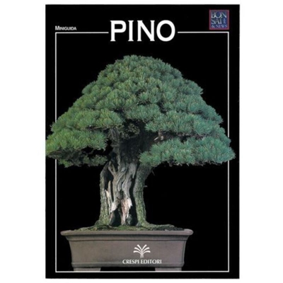 Pino - Miniguida BONSAI & news
