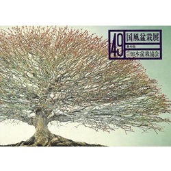 Catalogo Kokufu Bonsai Exhibition 49 - 1975 - Vintage Edition en oferta