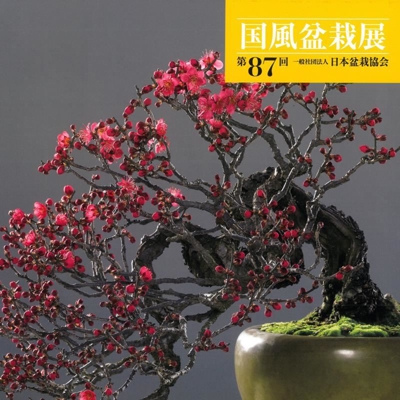 Catalogo Kokufu Bonsai Exhibition 87 - 2013