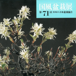 Catalogo Kokufu Bonsai Exhibition 71 - 1997 - Vintage Edition características