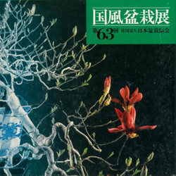 Catalogo Kokufu Bonsai Exhibition 63 - 1989 - Vintage Edition características