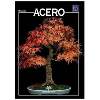 Acero - Miniguida BONSAI & news