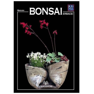 Bonsai erbacei - Miniguida BONSAI & news