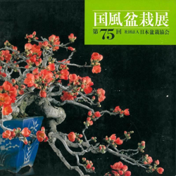 Catalogo Kokufu Bonsai Exhibition 75 - 2001 características