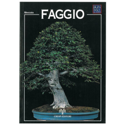 Faggio - Miniguida BONSAI & news en oferta
