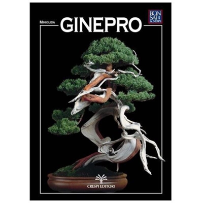 Ginepro - Miniguida BONSAI & news