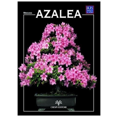 Azalea - Miniguida BONSAI & news