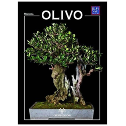 Olivo - Miniguida BONSAI & news características
