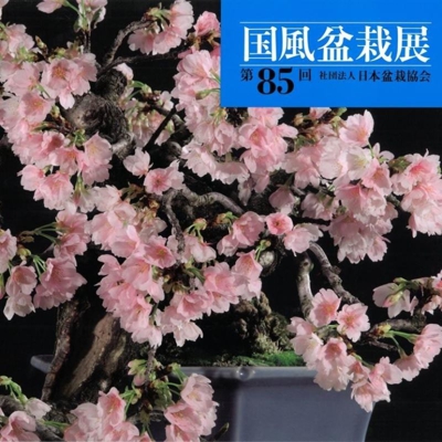 Catalogo Kokufu Bonsai Exhibition 85 - 2011