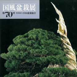 Catalogo Kokufu Bonsai Exhibition 70 - 1996 precio