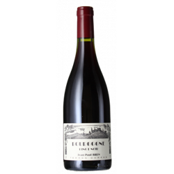BOURGOGNE PINOT NOIR 2020 - JEAN-PAUL BRUN - DOMAINE DES TERRES DOREES precio