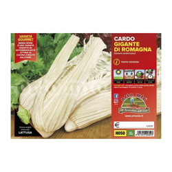 Cardo gigante di Romagna - 4 piante - Orto Mio características